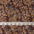 Kalamkari Screen Printed Cotton Fabric