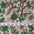Kalamkari Screen Printed Cotton Fabric