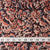 Precut 1 meter -Kalamkari Handblock Printed Cotton Fabric