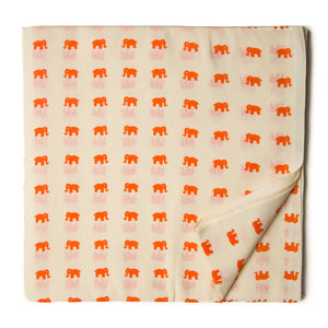 Printed Cotton Fabric